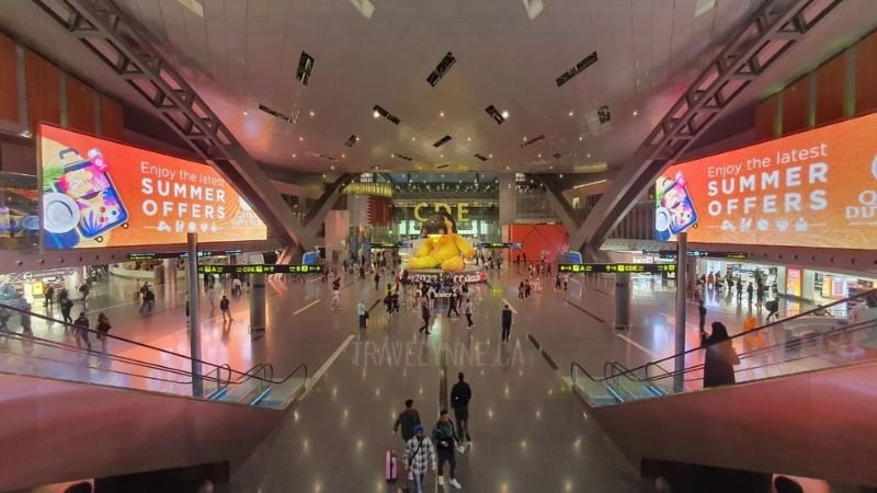 Turkish Airlines DOH Terminal – Hamad International Airport